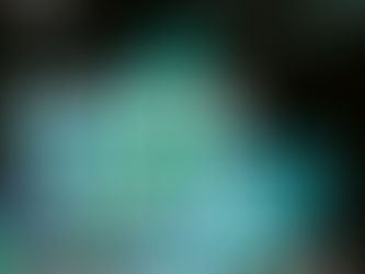 [NAVER] 2021 네이버 신입 공채 : 기술 직군 (~9.29)