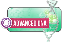 DNA Avanzato