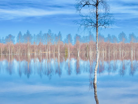 Why May has become one of our favourite months in Lapland