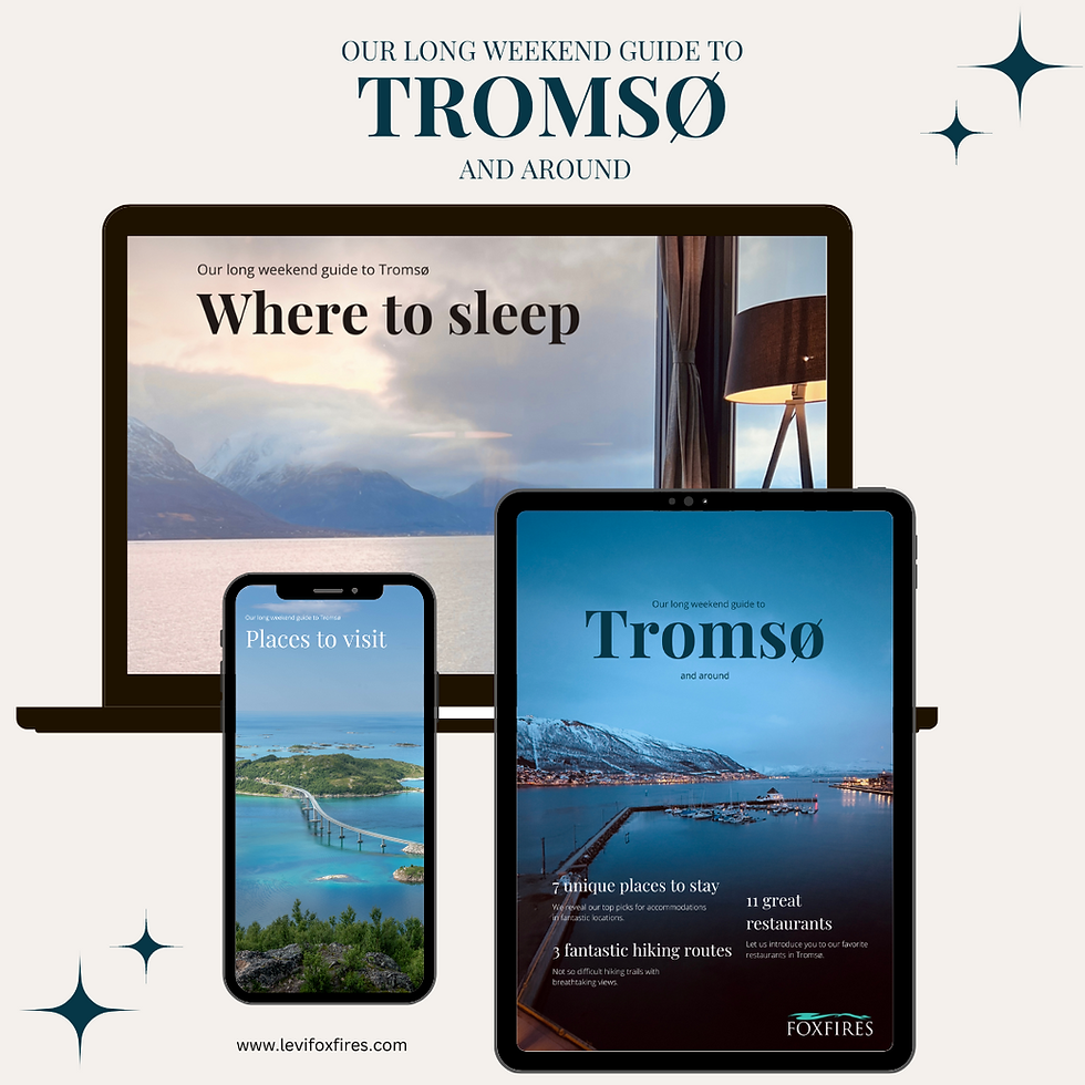 Tromso ebook