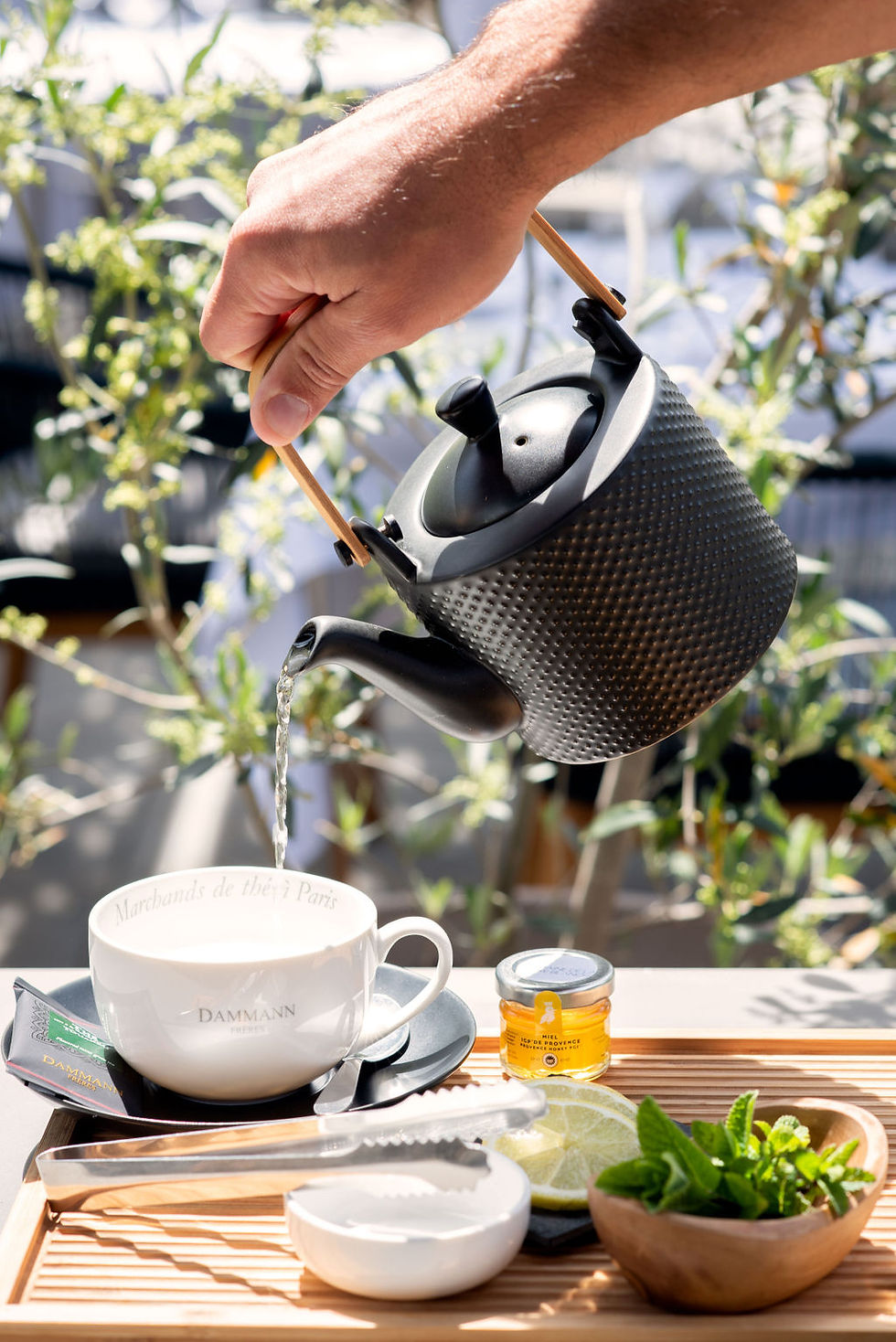 Maison Vantucci Hospitality Consultancy