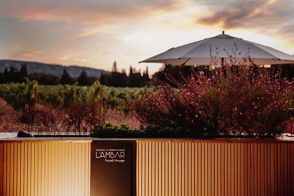 Maison Vantucci Mixology