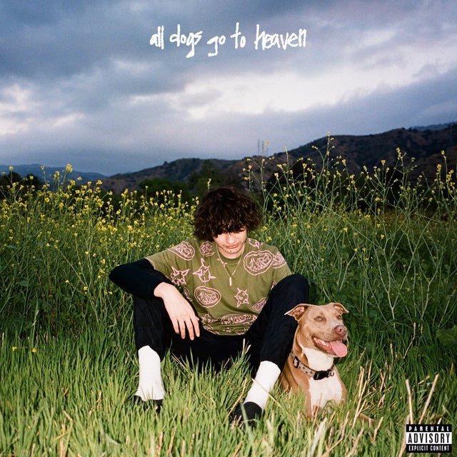 "all dogs go to heaven" Is a Refreshing Hyperpop Record & from Breakout Artist Glaive