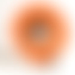 Trade Wind // No King But Me 7” // Other People Records