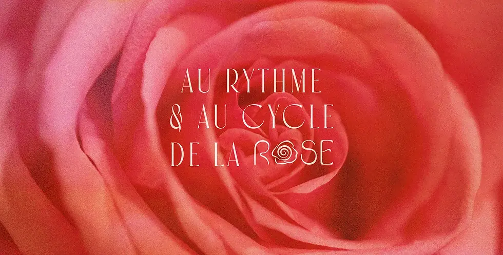 au rythme et au cycle de la rose.webp