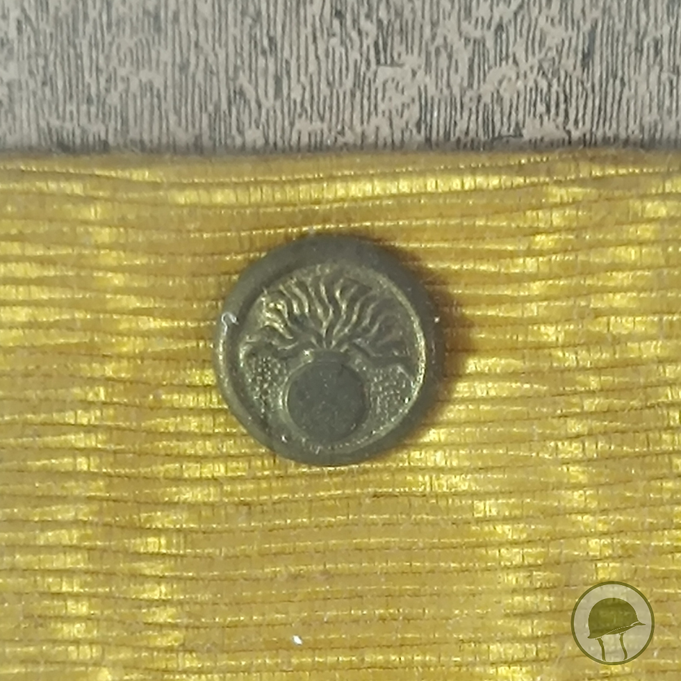 Miniatura: Quadro de Medalha com diploma Mort pour la France 1º Guerra