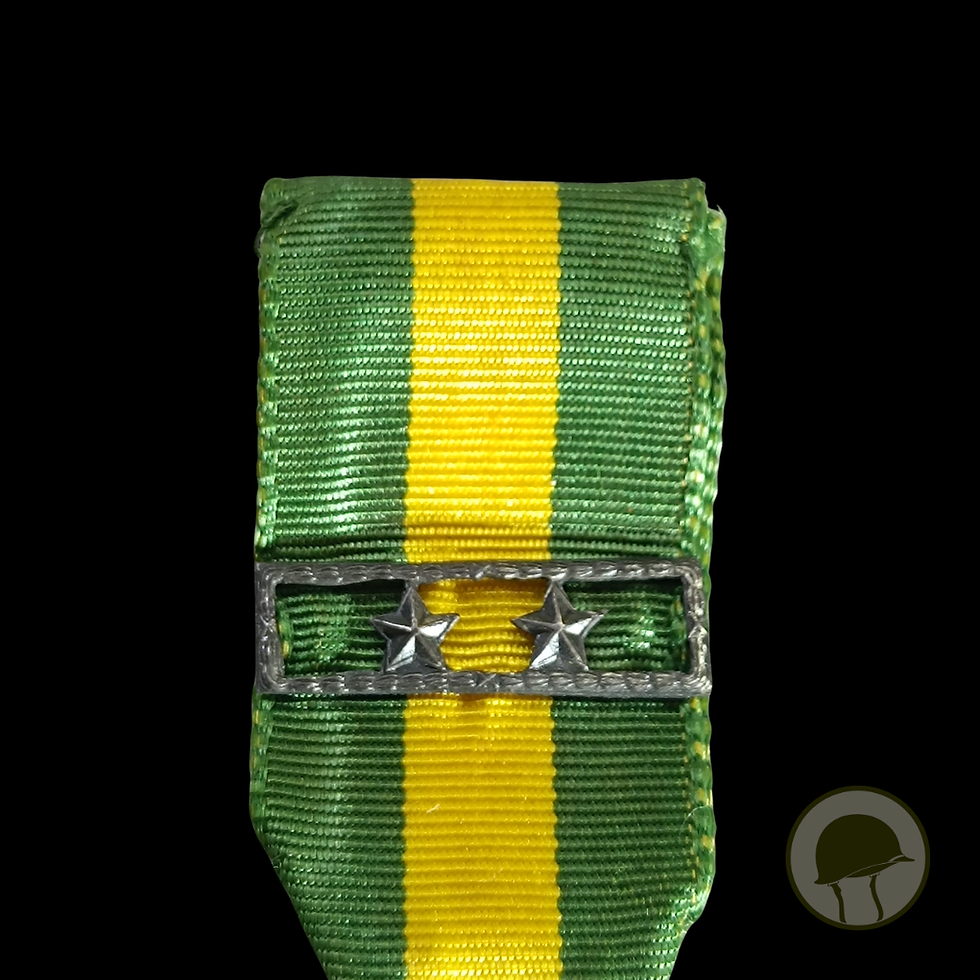Miniatura: Miniatura Mérito Militar de Tempo de Serviço 20
