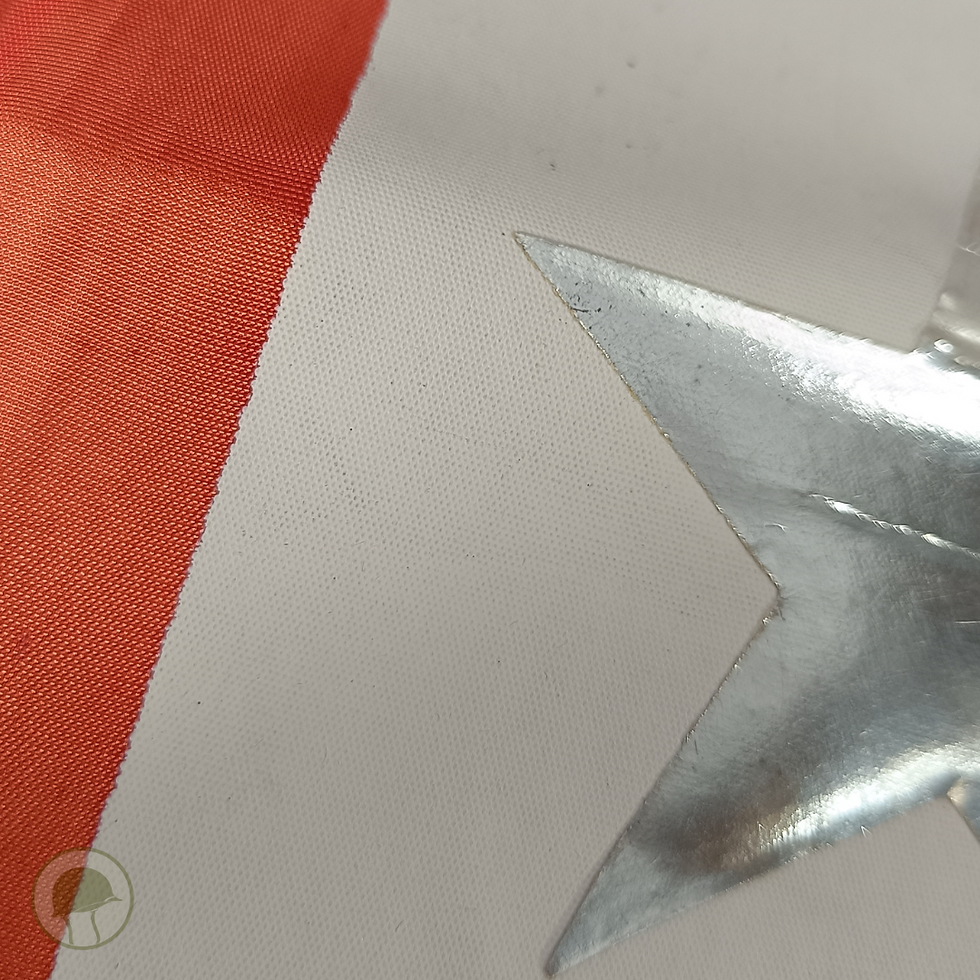 Miniatura: Banner de Serviço "Rara estrela Prata"  - 2ª Guerra Mundial