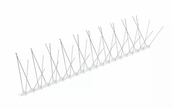 דוקרן יונים בעל 4 קוצים יחיד