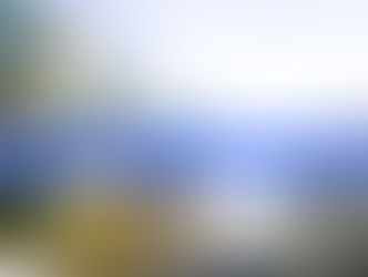  blindaje patrimonial chile 2026