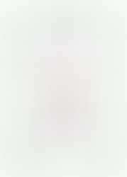 December 2025 Newsletter