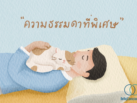 มาพาตัวเองออกจากวังวนของการเทียบตัวเองกับคนอื่นกัน!