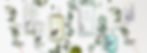 header fb copie.jpg