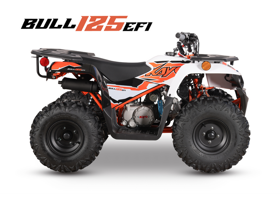 Bull 125 efi ATV in studio