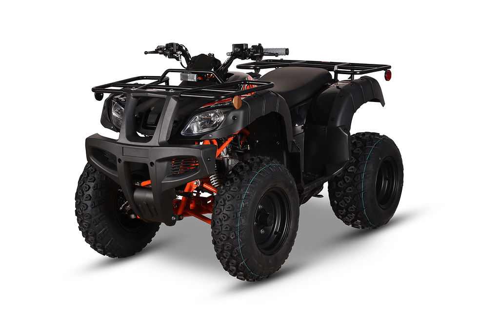 Bull 150 efi
