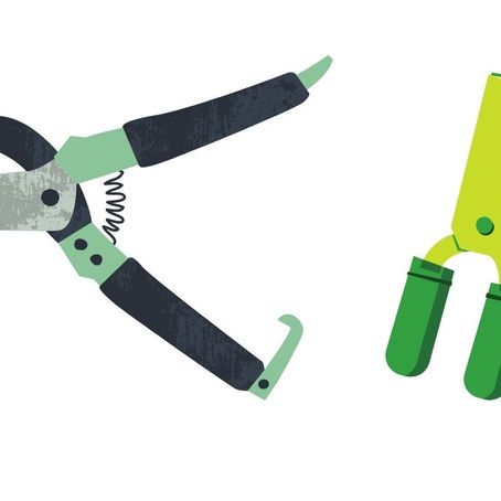 【10/10（土）　園芸刃物 お手入れ教室】