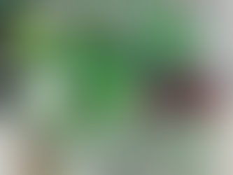 【4月22日（土）伊原木香奈先生のハーブの寄せ植え教室】