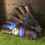 Thumbnail: Cosmic Goalkeeper Glove