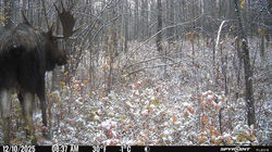 20251012_153148667_iOS