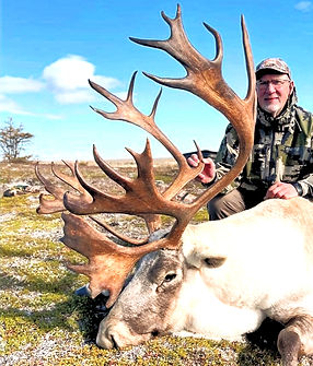 Woodland caribou bull_edited_edited_edited.jpg