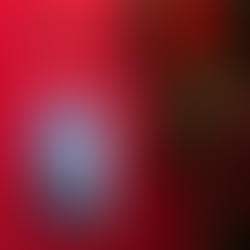 "Books to Gift This Holiday Season"