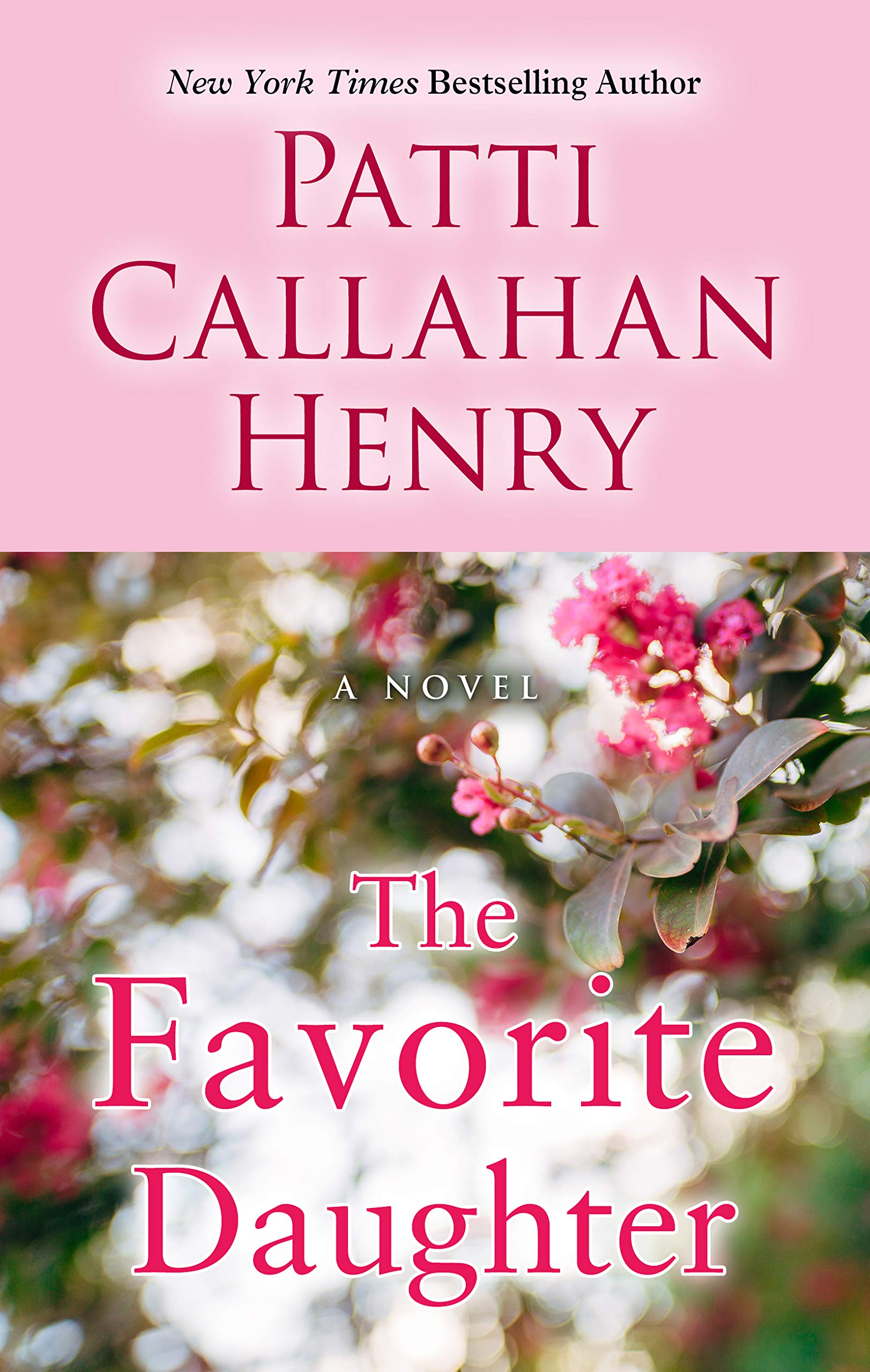 The Favorite Daughter Large Print