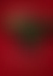 THE PERFECT LOVE SONG—A Christmas 🌲 Story Coming October 8, 2019