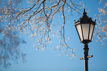 lamp post snow trees.png