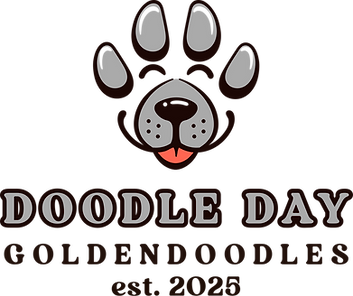 logo.png