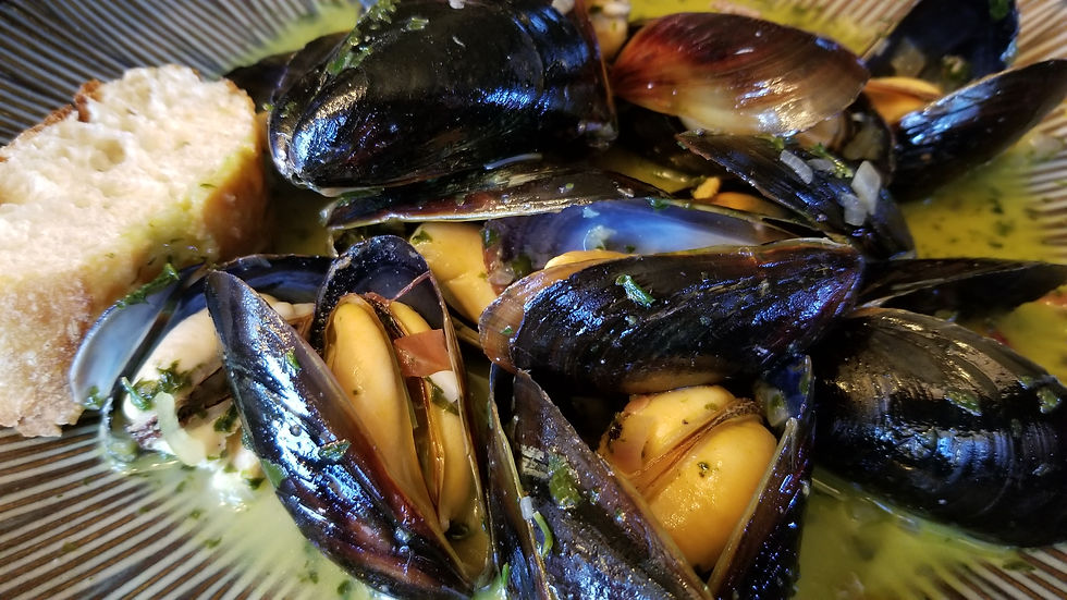 Bowl-Mussels_Fennel Broth