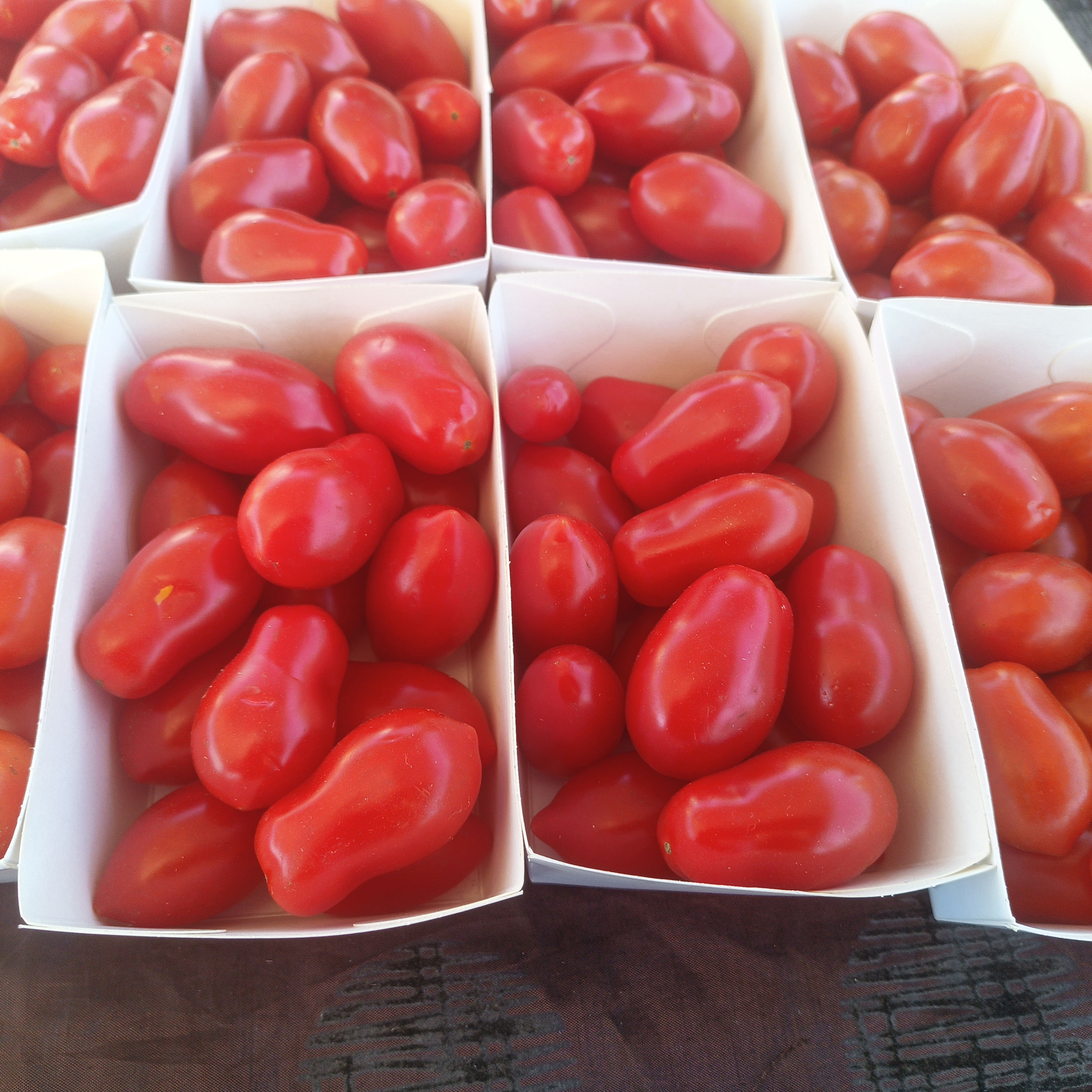 Tomate cerise Bio