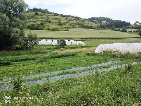Serre Saint Saturnin