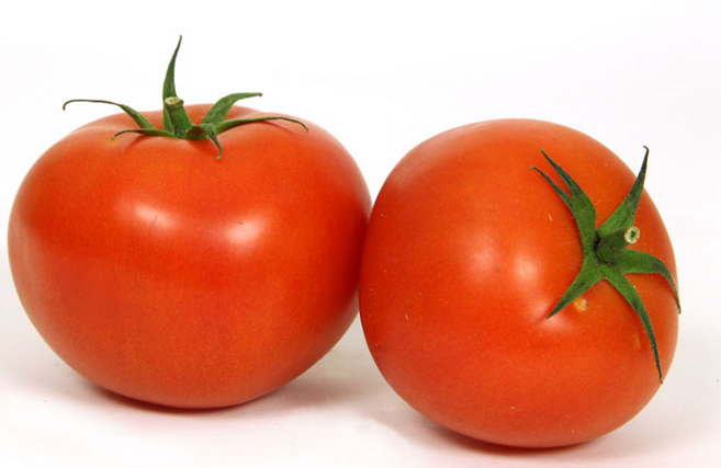 Tomate Ronde bio