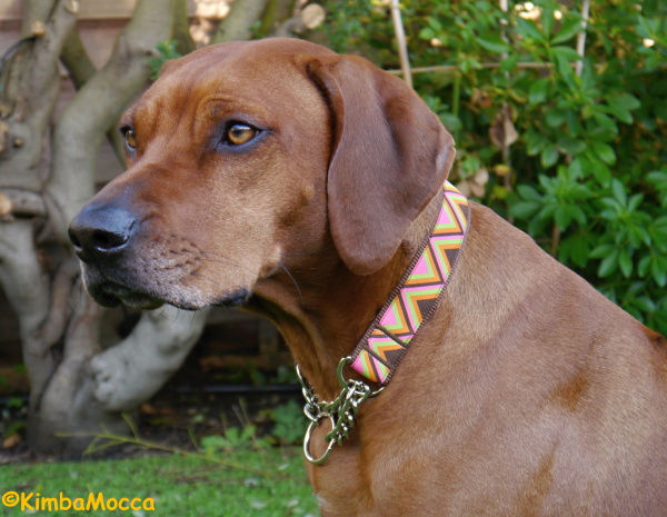 Thumbnail: Flame Pink on brown