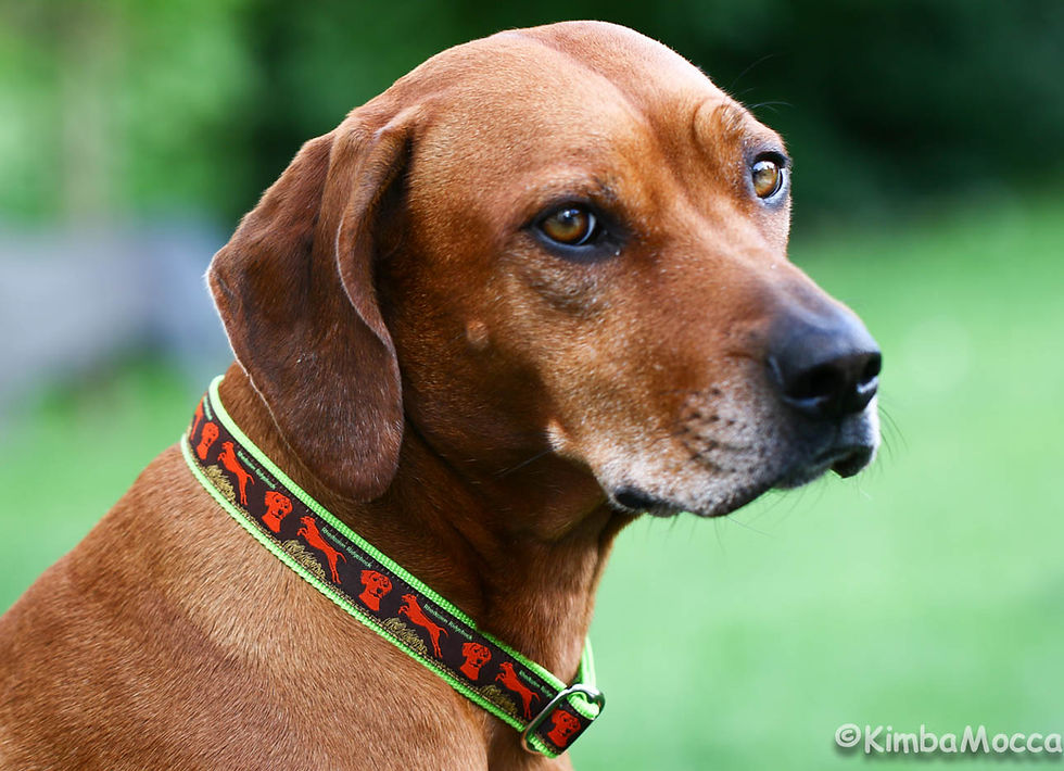 Thumbnail: Ridgeback 25mm, 30mm
