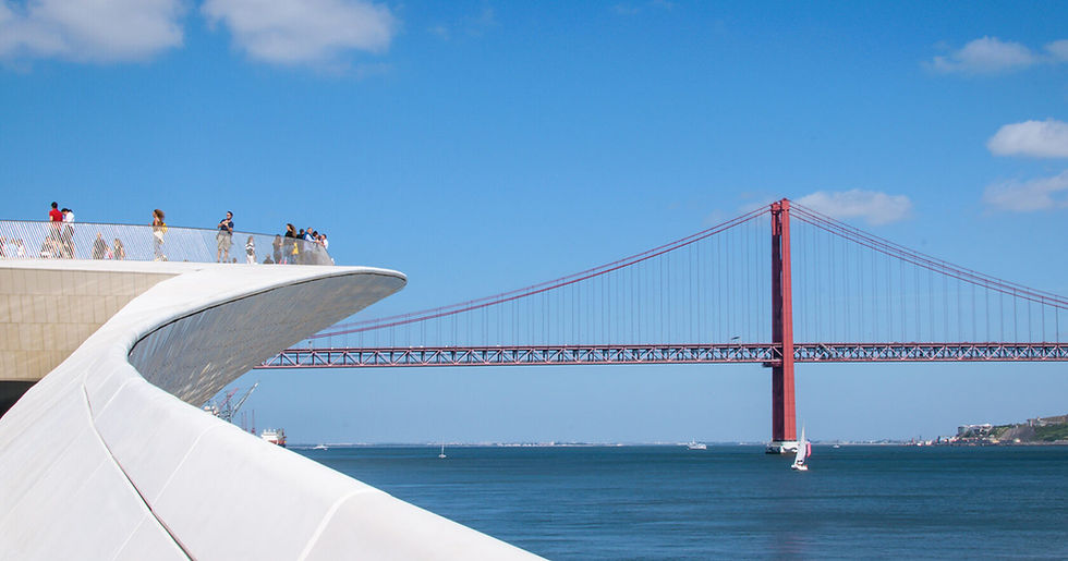BRIGE-2_-1685_tiny.jpg