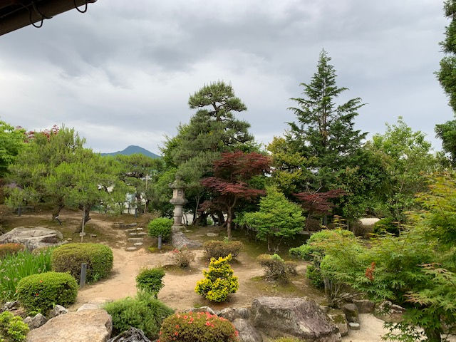 新樹園