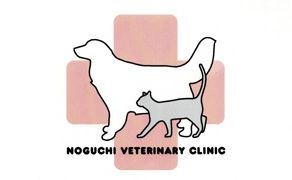 5月休診日のお知らせ