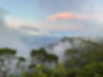 Kaua'i Fungal Biodiversity Survey 2026