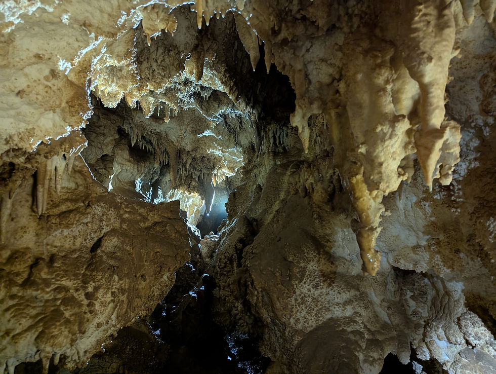 Colorado Cave Bioblitz 2026