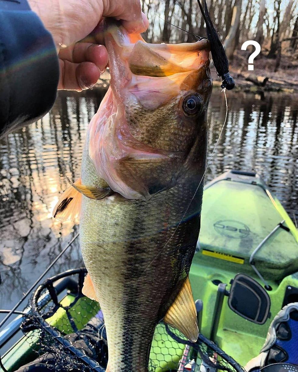 Thumbnail: Possible jig that may be included in a Mystery Jig 10 Pack