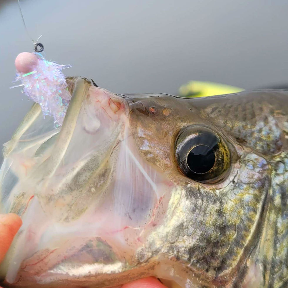 Thumbnail: Crappie Crush