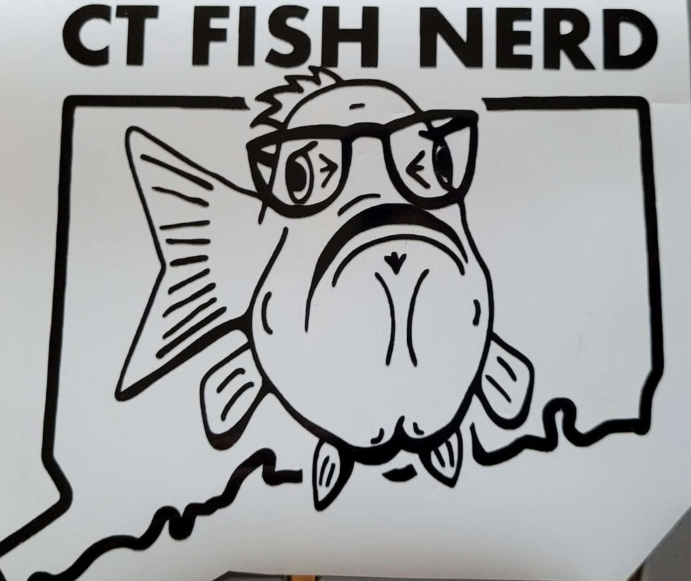 Thumbnail: CT Fish Nerd Die Cut Vinyl Decal in the OG Line Logo in black