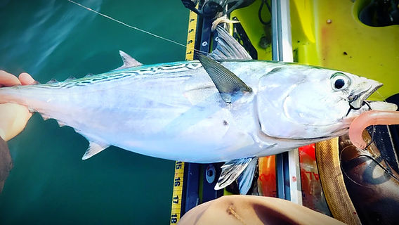 all fishing lures Types Of Fishing LuresAnd How To Use Them