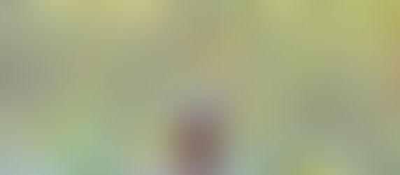 5 Key Yoga Retreat Benefits: Why You Should Embrace the Journey