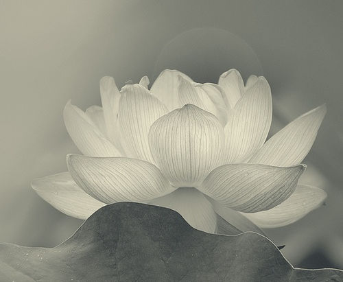 Awareness: Every Pore of the skin has to become an eye