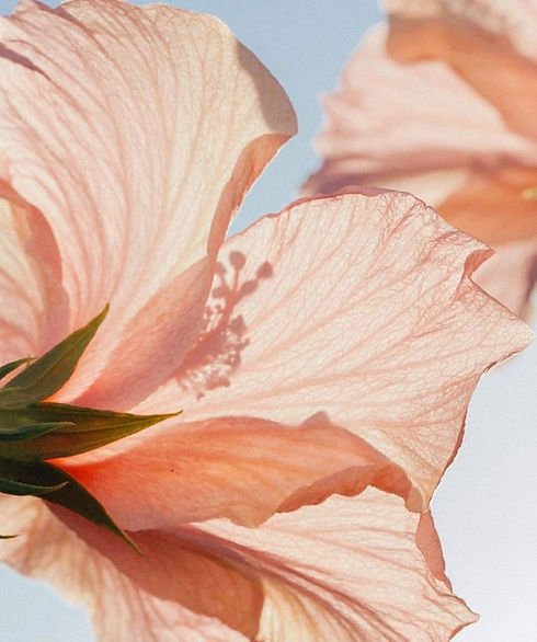 perimenopause retreat for women 40+ floral symbol