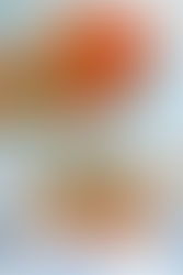 Essential Picnic Luxuries for Summer Entertaining