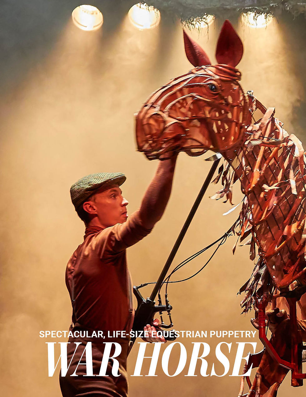 Thumbnail: Polo Lifestyles: November 2022 Issue