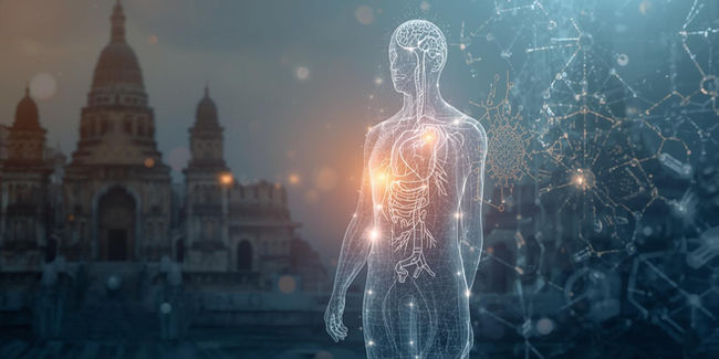Life After Life: Neuropeptide Regeneration